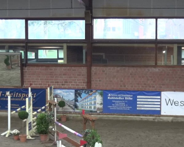 Reitturnier Stall Friedrichshulde, Sylva Kuhrt 2017