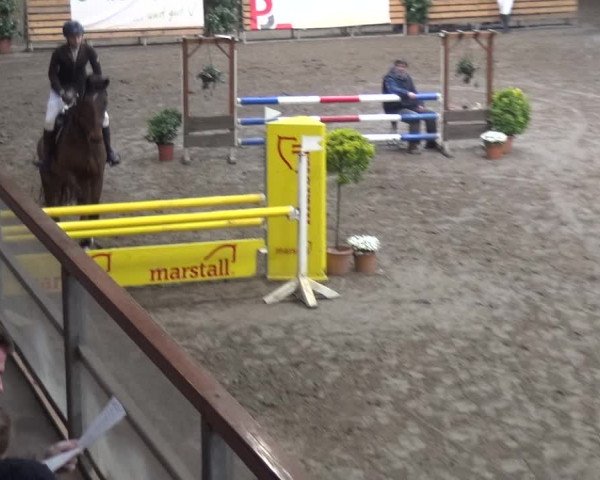 Reitturnier Stall Friedrichshulde, Sylva Kuhrt 2017
