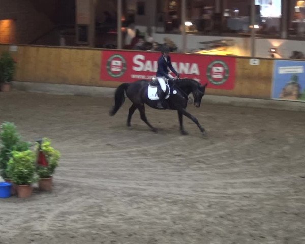 Reitturnier Stall Friedrichshulde, Sylva Kuhrt 2017