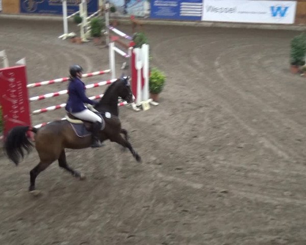 Reitturnier Stall Friedrichshulde, Sylva Kuhrt 2017
