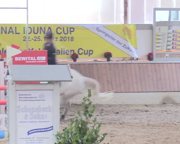 Reitturnier Südlohn-Oeding 2017
