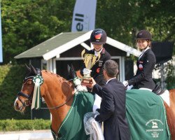 Deckhengst Classic Dream FH (Deutsches Reitpony, 2008, von FS Chambertin)