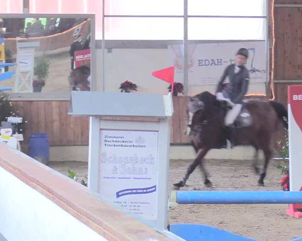 Reitturnier Südlohn-Oeding 2017