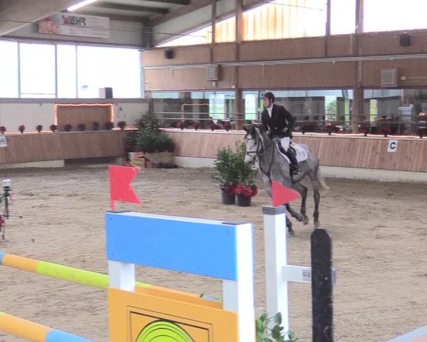 Reitturnier Südlohn-Oeding 2017