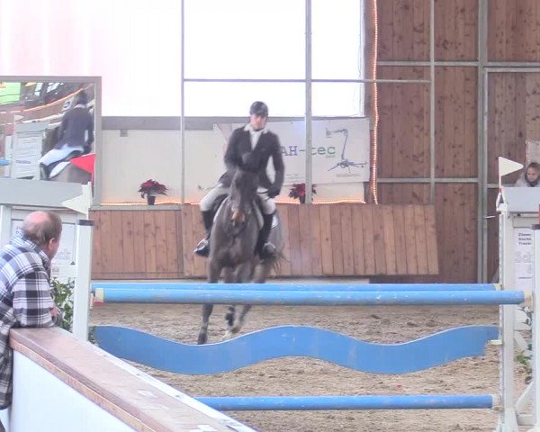 Reitturnier Südlohn-Oeding 2017