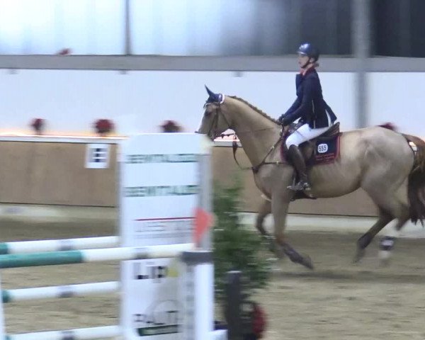 Reitturnier Südlohn-Oeding 2017