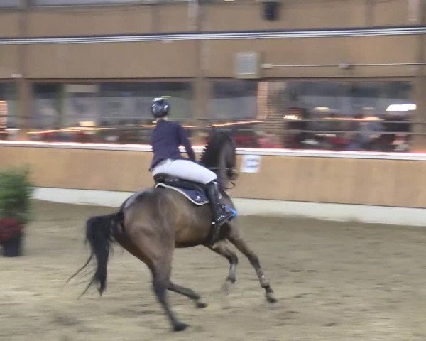 Reitturnier Südlohn-Oeding 2017