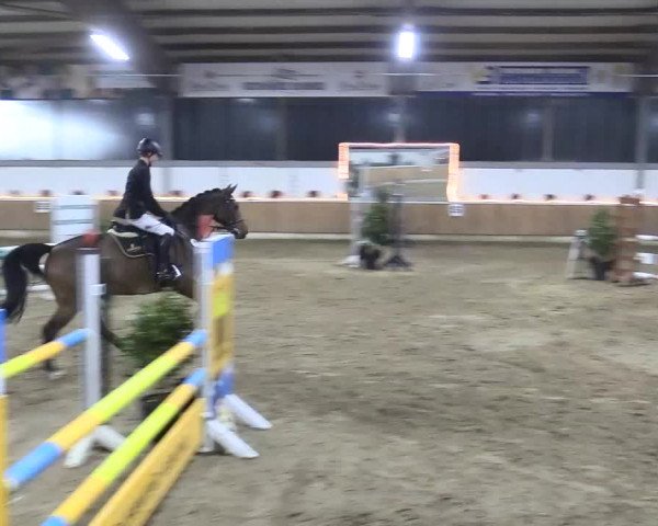 Reitturnier Südlohn-Oeding 2017