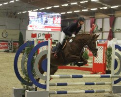 Springpferd La Calera 7 (Hannoveraner, 2008, von Le Primeur)