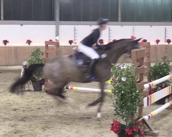 Reitturnier Südlohn-Oeding 2017