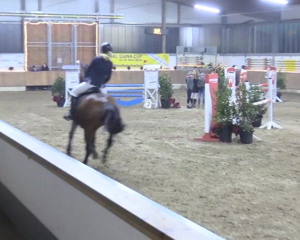 Reitturnier Südlohn-Oeding 2017