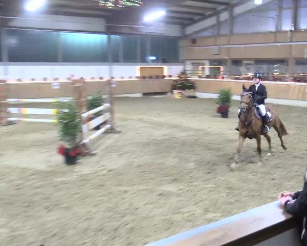 Reitturnier Südlohn-Oeding 2017