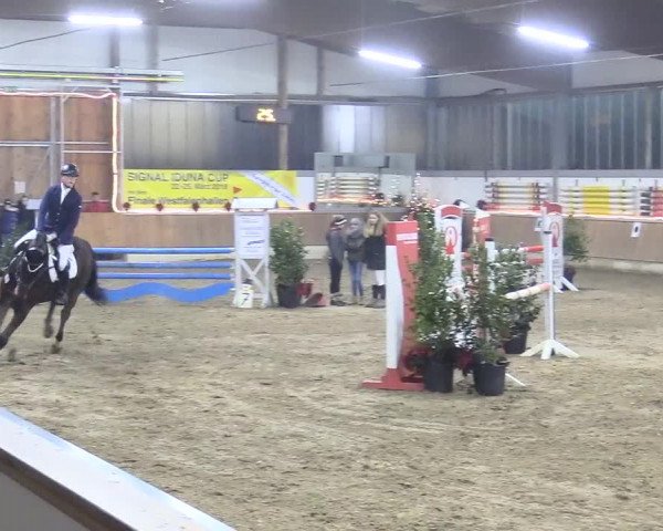Reitturnier Südlohn-Oeding 2017