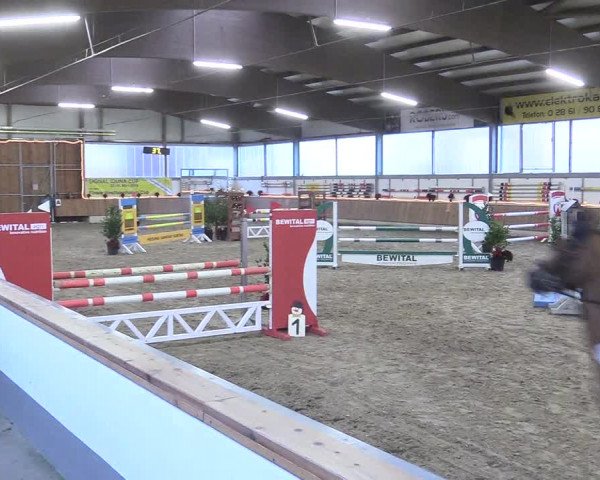 Reitturnier Südlohn-Oeding 2017