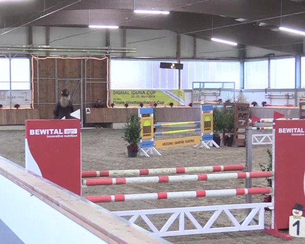 Reitturnier Südlohn-Oeding 2017