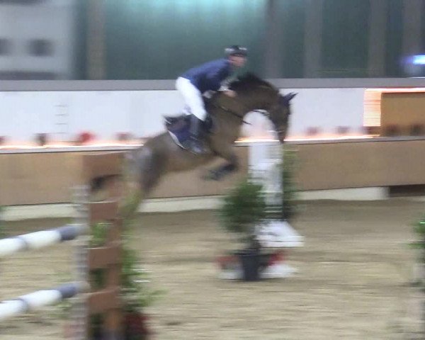 Reitturnier Südlohn-Oeding 2017