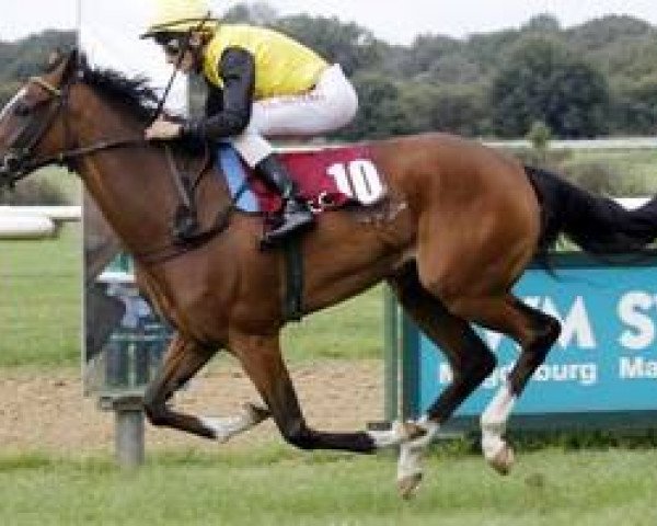 broodmare Ossora xx (Thoroughbred, 2011, from Königstiger xx)