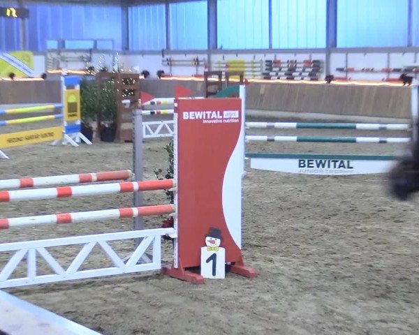 Reitturnier Südlohn-Oeding 2017