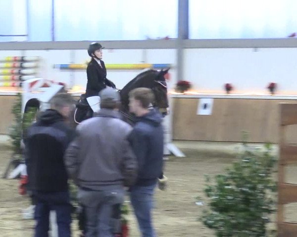 Reitturnier Südlohn-Oeding 2017