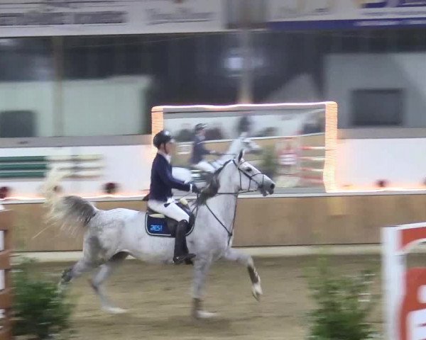 Reitturnier Südlohn-Oeding 2017