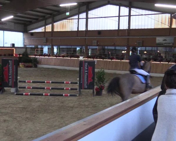 Reitturnier Südlohn-Oeding 2017