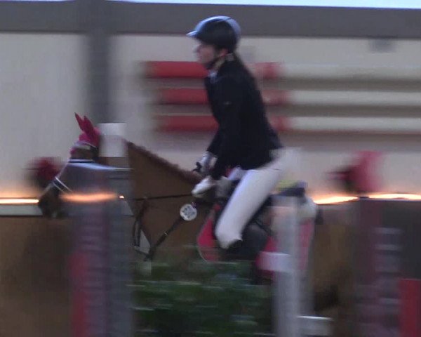 Reitturnier Südlohn-Oeding 2017