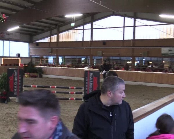 Reitturnier Südlohn-Oeding 2017