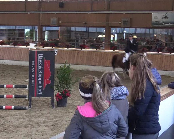 Reitturnier Südlohn-Oeding 2017