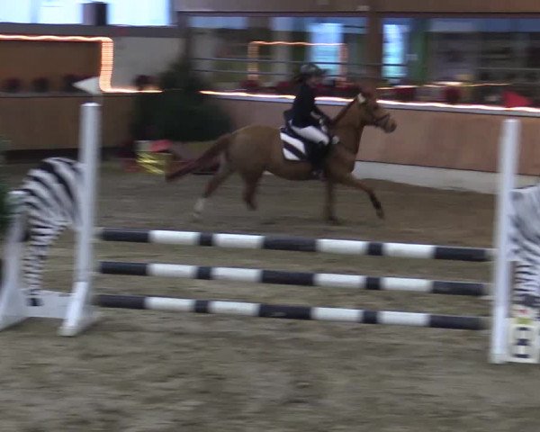 Reitturnier Südlohn-Oeding 2017