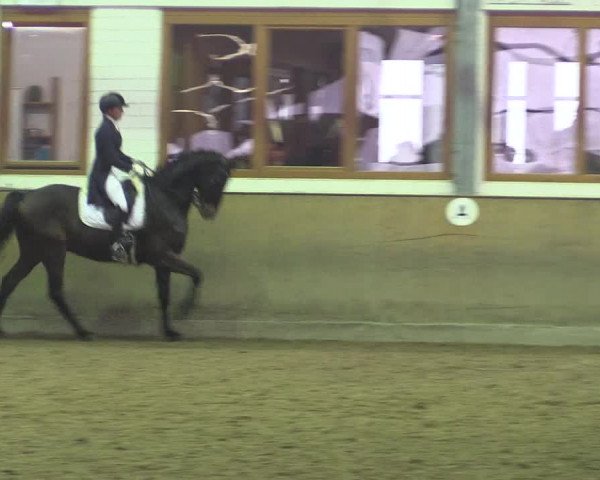 Reitturnier Appelhülsen 2017