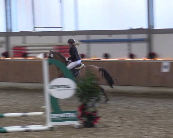 Reitturnier Südlohn-Oeding 2017