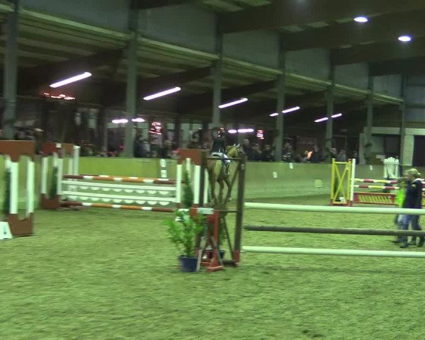 Reitturnier Appelhülsen 2017
