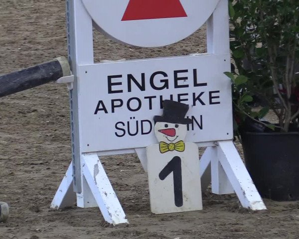 Reitturnier Südlohn-Oeding 2017