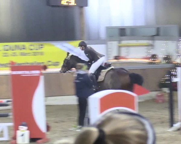 Reitturnier Südlohn-Oeding 2017