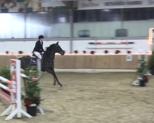 Reitturnier Südlohn-Oeding 2017