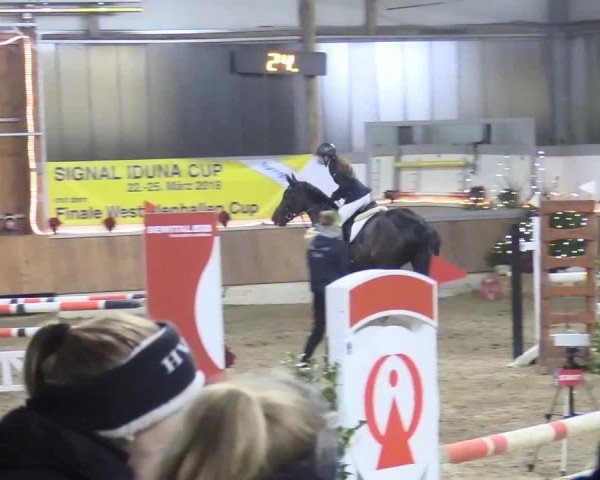 Reitturnier Südlohn-Oeding 2017