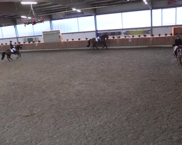 Reitturnier Südlohn-Oeding 2017