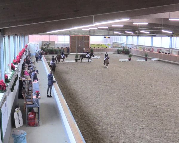 Reitturnier Südlohn-Oeding 2017