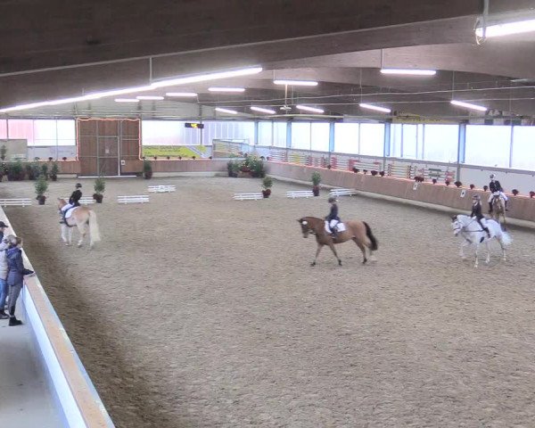 Reitturnier Südlohn-Oeding 2017