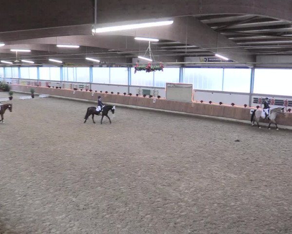 Reitturnier Südlohn-Oeding 2017