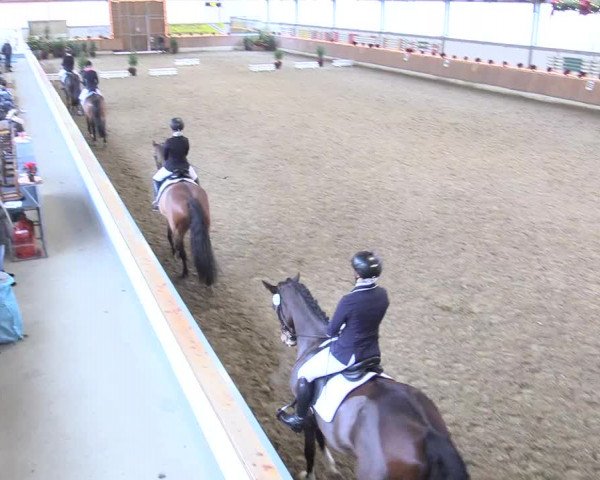 Reitturnier Südlohn-Oeding 2017