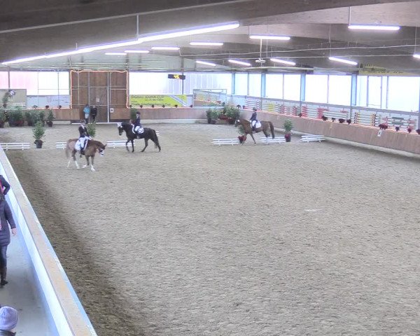 Reitturnier Südlohn-Oeding 2017