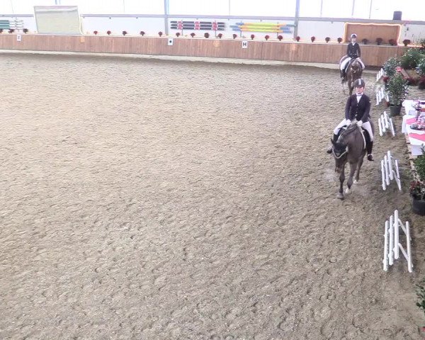 Reitturnier Südlohn-Oeding 2017