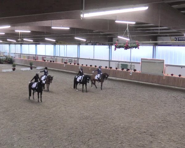 Reitturnier Südlohn-Oeding 2017