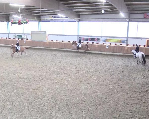Reitturnier Südlohn-Oeding 2017