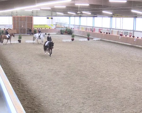 Reitturnier Südlohn-Oeding 2017