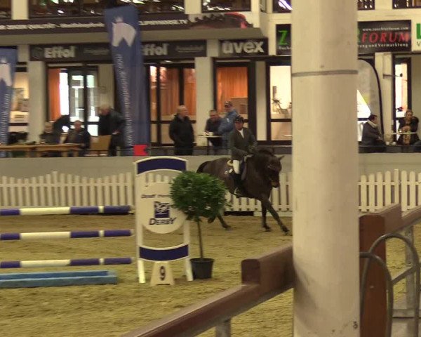 Reitturnier Münster-Handorf 2017