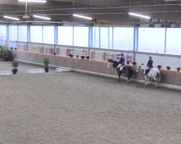 Reitturnier Südlohn-Oeding 2017