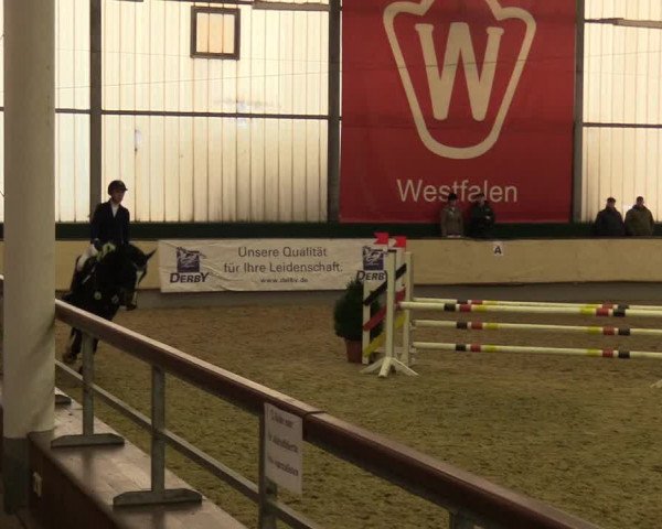 Reitturnier Münster-Handorf 2017