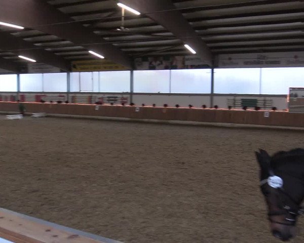 Reitturnier Südlohn-Oeding 2017